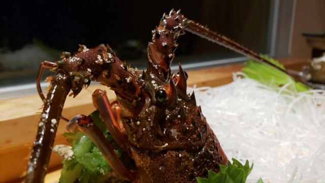 伊勢エビの御造り